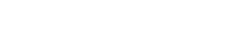 Logo bizbrand footer