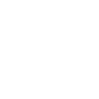 icon behance bizbrand