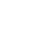 icon facebook bizbrand