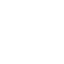 icon linkedin bizbrand