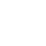 icon pinterest bizbrand