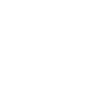 icon tiktok bizbrand