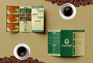 B BROCHURE VietSIP